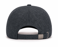 Wollen baseballpet met brede klep, winterwarm, hardtop, Koreaanse stijl, unisex, luipaardprint, verdikte bovenkant, 6-paneels ontwerp