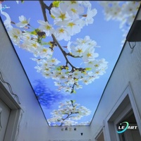 Foshan Matériau de construction Décoration de la maison Fabricant Prix 3d Animate Led Plafond dynamique