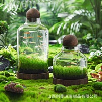 Botol Hidroponik Kaca Tebal Transparan dengan Alas Kayu Besar Gaya Jepang, Baki Kayu untuk Memelihara Ikan Besar, Vas Kaca