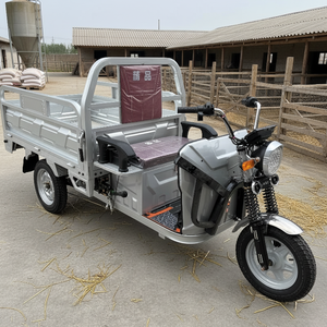 Triciclo de Carga en Venta, Motocicleta de Aluminio de 3 Ruedas Resistente con Motor en el Buje Trasero para Transporte y Entrega - Product Image 1