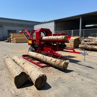 Procesador de Leña de 44 cm, 22t PTO, Máquina Cortadora de Madera, Rajadora de Troncos con Certificado CE EPA