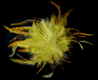 Pince à cheveux fleurie avec plumes pour femme, accessoire de coiffure pour mariée, mariage, cocktail, thé, derby, chapeau de costume