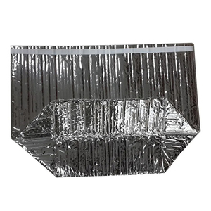 <span class=keywords><strong>Bolsa</strong></span> Térmica de Aluminio y EPE con Refuerzo Lateral de Plástico para Entrega de Alimentos, <span class=keywords><strong>Bolsa</strong></span> Aislante para Comida de Mascotas - Product Image 2