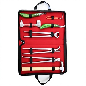 Oferta Especial: Kit de Herramientas para Herrador con Estuche – Cuchillas para Cascos, Extractor de Clavos de 13 pulgadas, Clavillero de 13 pulgadas, Cortacascos de 12 pulgadas, Pulidor y Herramienta de Raspado - Product Image 1