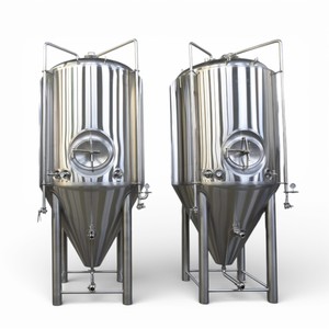 Fermenteur à bière à température contrôlée personnalisé Ace 5Hl 8K Mirror Double Wall Top Manway - Product Image 1