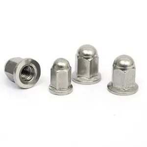 Customized Stainless Steel Hex Dome Cap Nuts High Precision M8 Long Hexagon Domed Cap Nuts