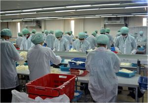 Food Service Disposable Vinyl <b>Gloves</b> 24CM Silicone-Free Powder-Free Non Sterile Clear Smooth Texture Customizable - Product Image 6