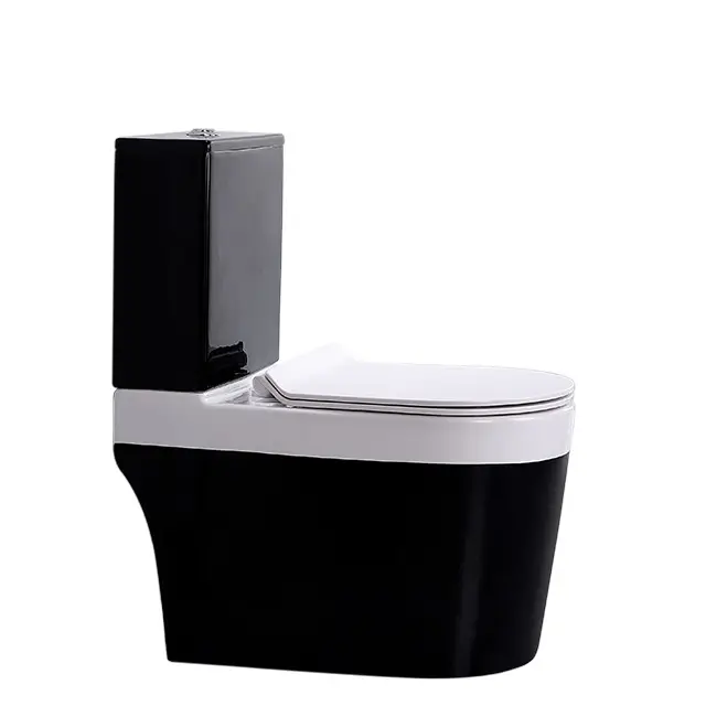 Pulvérisateur de jet de toilette noir, ensemble de deux pièces à nettoyer et peu encombrant, facile à nettoyer, pour salle de bain