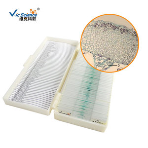 Liverwort thallus section, plant specimens, lichens, animal and plant specimens, <b>microscope</b> slides - Product Image 2