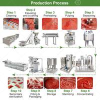 Machine de production de sauce ketchup et de pâte de tomate moyenne, capacité de 5 tonnes par heure, pour usine de transformation continue de 1000 kg