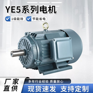 Moteur asynchrone triphasé horizontal série YE5, classe d'efficacité énergétique 1, économie d'énergie, économie de consommation électrique, triphasé - Product Image 3