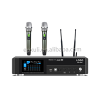 Amplificateur de puissance karaoké professionnel série GK/DK 2 canaux 150W-450W*2CH avec micro sans fil pour KTV, salle de divertissement, usage domestique