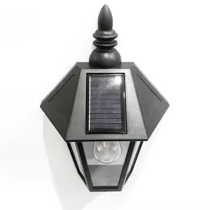 NHWS 2024 Hot selling Unique appearance sensor garden light,Outdoor ABS PIR Motion Solar wall Light