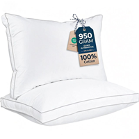 Oreiller de cou rectangulaire moderne en coton 100% uni, avec design à soufflets et bordure à double couture, pour hôtels de taille moyenne, OEM&ODM, vente en gros