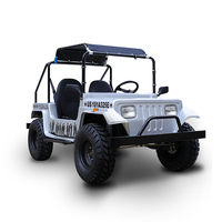 Vente directe usine : Mini Quad, ATV, UTV, Voiturette de golf pour adultes, Véhicule tout-terrain, Jeeps avec 1-2 places, 1500W