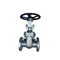 Katup Gerbang Baja Tahan Karat Kelas 150 ANSI, Material CF8M/316, Bersertifikasi API 600, Kustomisasi OEM untuk Sistem Air/Minyak/Gas