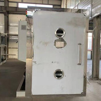 Automatische Commerciële Goedkoopste Industriële Voeding Fruit En Groente Lyofilisator Vriesdroger Lyofilisatie Machine Prijs
