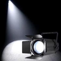 200W COB Led Spot Blanc Chaud Blanc Froid Zoom Blinder lumière TV studio Spot Light Disco Dj Night Club Led Stage Light