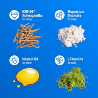 OEM Marca Privada Vegano L-Teanina en Polvo Calmante para Bebidas, Suplemento para el Estrés y la Concentración con Ashwagandha y Magnesio