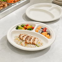 Assiette Ronde Jetable Compostable en Bagasse de Canne à Sucre à 3 Compartiments de 10 Pouces pour Buffets et Traiteurs – Choix Durable