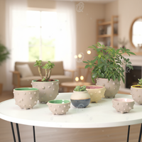 Pot de fleurs en céramique pour plantes d'intérieur, design unique et personnalisé