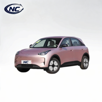 Geely Xingyuan 2026 Édition Longue Portée 410 km Agent d'Approvisionnement Chine Véhicule Électrique Pur avec Coffre Avant de 70L Prêt à être Expédié vers la Jordanie