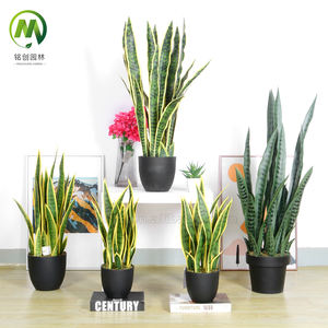 Bonsái de simulación Tropical más vendido, planta de <span class=keywords><strong>agave</strong></span> de <span class=keywords><strong>aloe</strong></span> <span class=keywords><strong>vera</strong></span> verde Artificial, bonsái decorativo de plástico para el hogar - Product Image 6