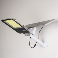 Lampadaire Solaire LED WERISE IP65 pour Éclairage Extérieur, avec Contrôle AI et Charge MPPT, Idéal pour Projets Routiers et Autoroutes