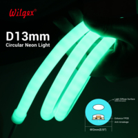 Cordon néon LED brillant D13mm, 320 °   Angle de faisceau, sortie uniforme sans points, économe en énergie, remplacement idéal