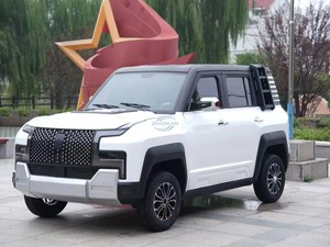 Véhicule électrique à faible vitesse et longue autonomie à 4 roues pour la famille et les adultes - Product Image 4