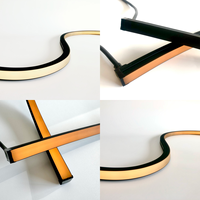 Bande LED néon flexible noire blanc chaud 1800K-3000K, vente en gros, IP67, pour cinéma, chambre, allées, façade, décoration intérieure et extérieure