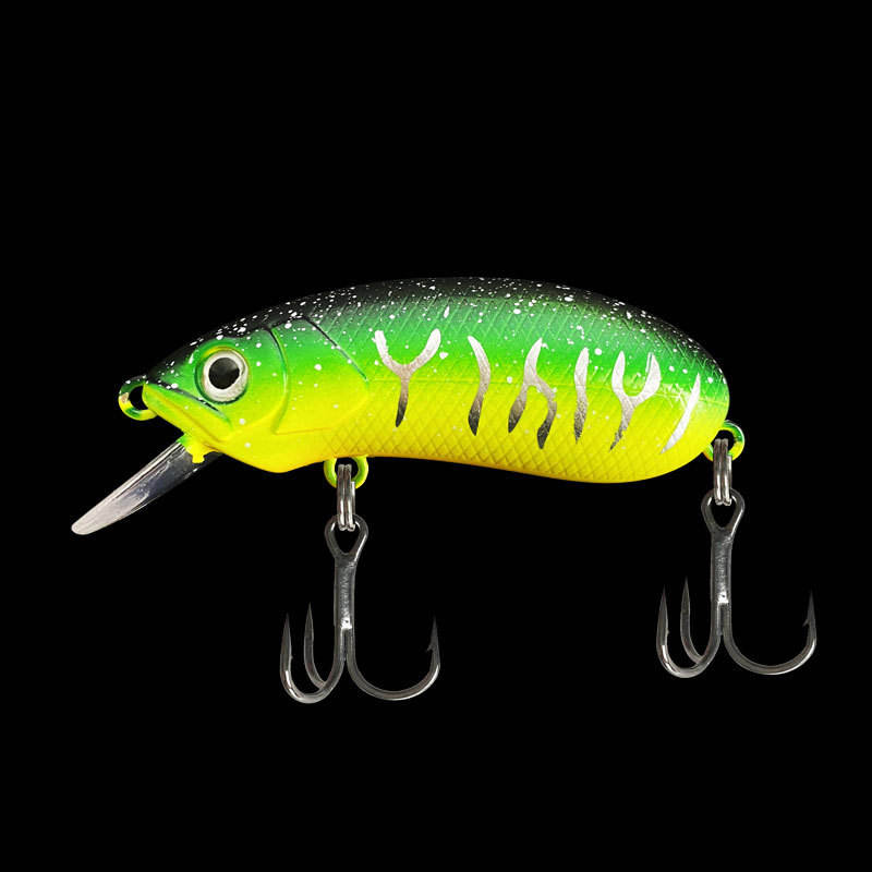 5 # modèle de tigre vert