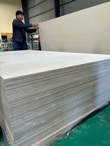 Heavy-Duty 12-15-18-21mm Espesor Madera contrachapada de álamo Eucalipto Melamina Grano de madera Encofrado de doble cara Top Choice MDF Abedul E0 - Product Image 6