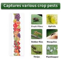 Pièges à mouches des fruits, piège à papier collant pour mouches, piège à colle pour insectes, pièges à insectes volants pour l'intérieur et l'extérieur, contrôle des mites, des moustiques