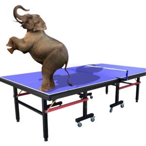 <span class=keywords><strong>Table</strong></span> de tennis de <span class=keywords><strong>table</strong></span> pliable professionnelle pour l'intérieur avec plateau de 25 mm d'épaisseur pour la compétition - Product Image 1