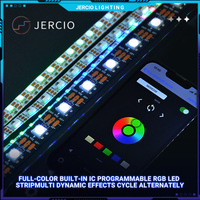 Jercio 12V XT1901s / WS2811 o UCS1903 Bar/KTV Project Breakpoint Programación de transmisión continua RGB Tira de luz LED