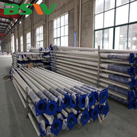 Poste de Luz de Acero Galvanizado en Caliente Q235 de 3m-12m, Personalizado de Fábrica, Columna Impermeable para Calles Urbanas y Carreteras Públicas