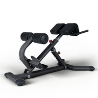 Équipement de gymnastique commerciale de haute qualité Fitness Musculation Machine d'extension arrière réglable