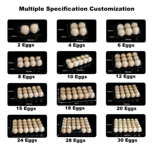 Bán buôn 100% tái chế nhựa PET khay trứng 30 lỗ siêu thị rõ ràng gà/vịt trứng bao bì hộp vỉ quá trình loại - Product Image 2