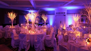 Foco Pinspot Inalámbrico con Batería, Productos de Tendencia <span class=keywords><strong>2022</strong></span>, Foco Pinspot LED con Ángulo Ajustable y Zoom - Product Image 6