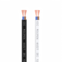 300V/500V H05VV-F PVC Massivkupfer 2-adriges Flachkabel Feuerfestes Flammhemmendes Kabel für Hausverkabelung und Kraftwerke
