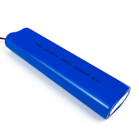IEC62620 62133 Compliant 18650 6.4V 3000mAh 2S2P Cylindrical LiFePO4 Lithium Ion Battery Pack for Emergency Lighting Exit Signs