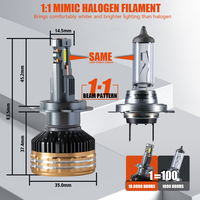Vente en gros d'ampoules LED Zdt8 H7 H1 H3 H8 9005 9006 Hb3 Hb4 9012 décodeur Canbus sans erreur adapté au phare LED automatique