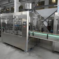 Hoogproductieve volautomatische 3-in-1 fruit sap, mineraalwater, bier, warmvulfabriek met pulpcontrole en etiketteermachines