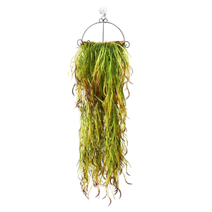Pianta Artificiale in Vaso, Foglie a Lama, Erba, Salice, Succulente Autunnali, Bastoncini di Rattan, per Esterni, in Plastica, Forniture <span class=keywords><strong>da</strong></span> Giardino, Basso MOQ, per Matrimoni - Product Image 2