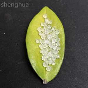 PP T30S Raphia Moulage Grade Polypropylène Résine Vierge PP Plastique Tasse Granules Copolymère Aléatoire - Product Image 2