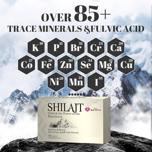 Tabletas de Shilajit del Himalaya, Suministro Directo de Fábrica, 60 Tabletas, Vitalidad, Inmunidad, Energía, Cuidado del Envejecimiento, Suplemento Dietético, Venta al por Mayor OEM - Product Image 2