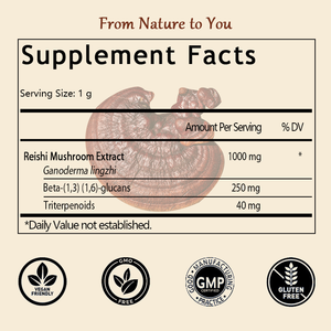 Polvo de Hongo Reishi OEM/ODM, Extractos de Hongos Recogidos a Mano, Reishi Rojo para un Bienestar Diario Tranquilo, Apoyo para la Piel y la Inmunidad - Product Image 2