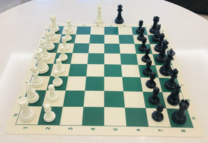 King Tall 3.75 pouces les candidats série King'S Knight pièces d'échecs en plastique d'échecs en résine (34 pièces/ensemble) très bonne qualité DCP21h - Product Image 5