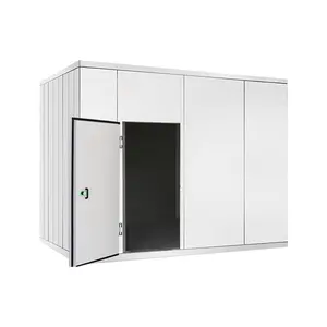 Industrial cold room freezer Commercial container freezer flower walk in chiller storage